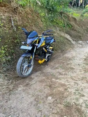 Bajaj Pulsar NS200 9577 2019