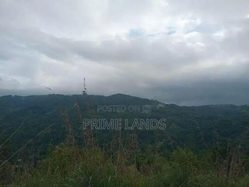 Land for Sale Nillamba