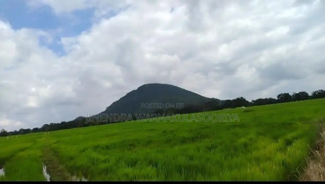 කහටගස්දිගිලියෙන් කාමර 3ක නිවස සමඟ කුඹුරු ඉඩම විකිණීමට