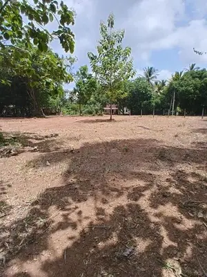 පෙරිමියන්කුලම අශෝක විදුහල ආසන්නයෙන් සින්නක්කර බිම් කොටස් අනුරාධපුර