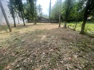 Residential Land for Sale Kadawatha