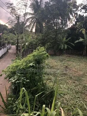 Land for Sale in Meepe (Near to Highlevel Road)