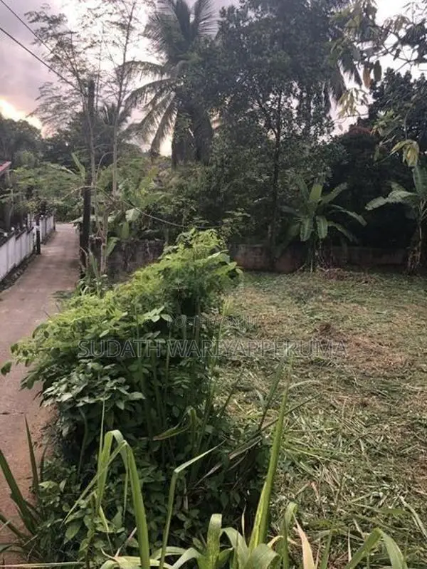 Land for Sale in Meepe (Near to Highlevel Road)