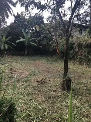 Land for Sale in Meepe (Near to Highlevel Road)