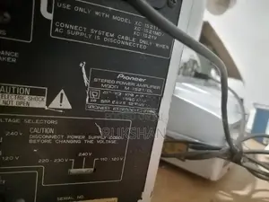 Pioneer Audio System