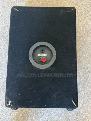 Pro Sound Speaker