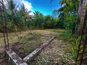 මොනරාගල මහානාම කණිෂ්ඨ විදුහල පාරේ ඉතා අගනා බිම් කොටසක් විකිණීමට ඇත.