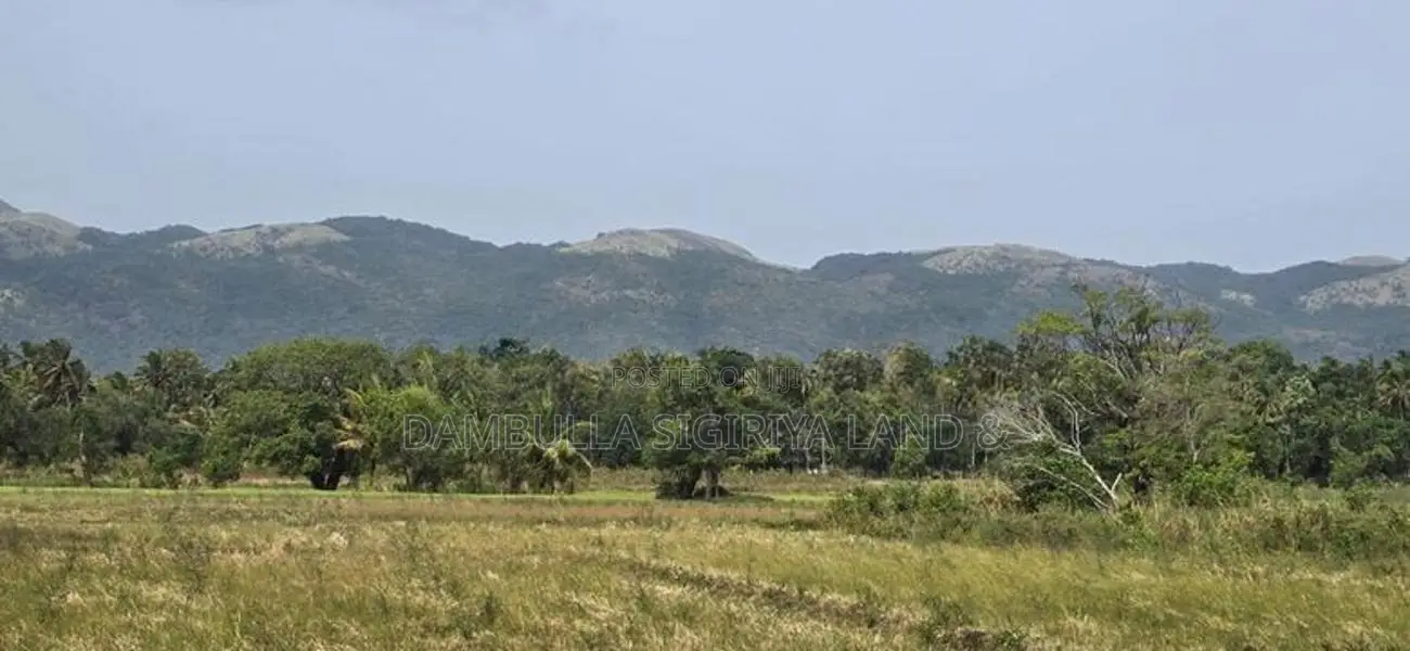 Land for Sale in Dambulla - දඹුල්ලෙන් ඉඩමක් විකිණීමට