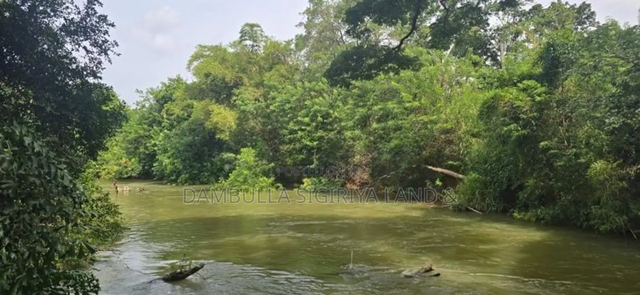 Land for Sale in Dambulla - දඹුල්ලෙන් අනර්ග ඉඩමක් විකිණීමට