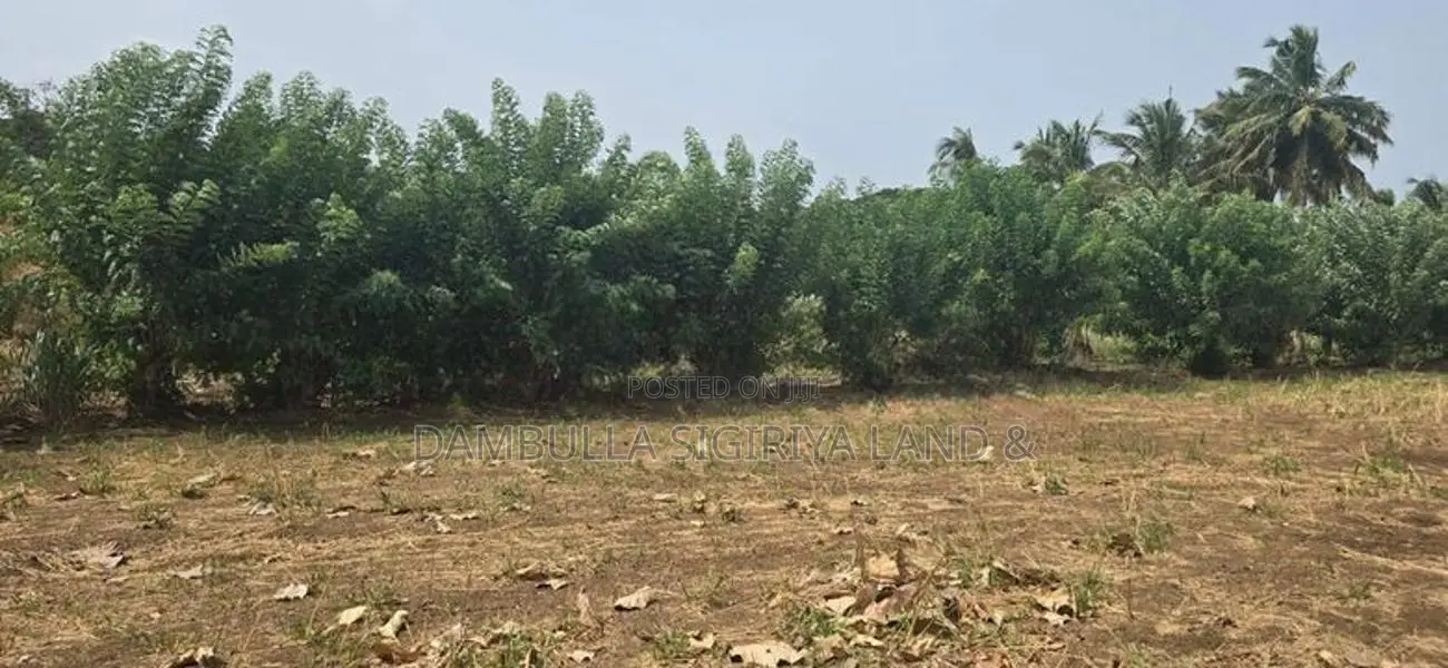 Land for Sale in Dambulla - දඹුල්ලෙන් අනර්ග ඉඩමක් විකිණීමට