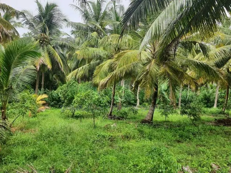 Land for Sale in Dambulla - දඹුල්ලෙන් ඉඩමක් විකිණීමට