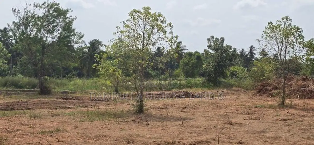 Land for Sale in Dambulla - දඹුල්ලෙන් ඉඩමක් විකිණීමට