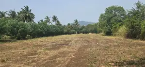 Land for Sale in Dambulla - දඹුල්ලෙන් අනර්ග ඉඩමක් විකිණීමට