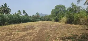 Land for Sale in Dambulla - දඹුල්ලෙන් අනර්ග ඉඩමක් විකිණීමට