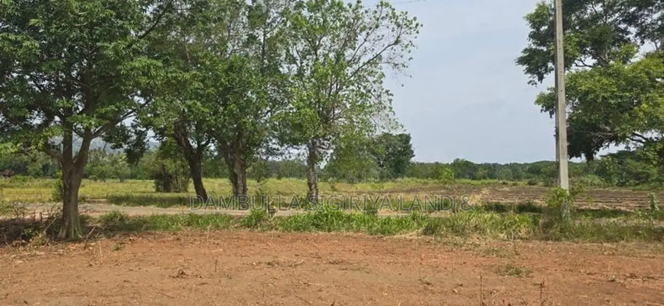 Land for Sale in Dambulla - දඹුල්ලෙන් ඉඩමක් විකිණීමට