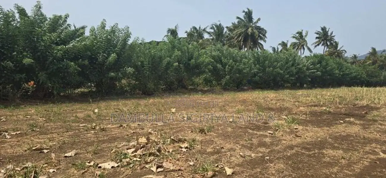 Land for Sale in Dambulla - දඹුල්ලෙන් අනර්ග ඉඩමක් විකිණීමට