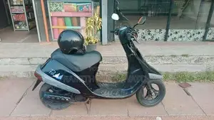 Honda 48CC 2013