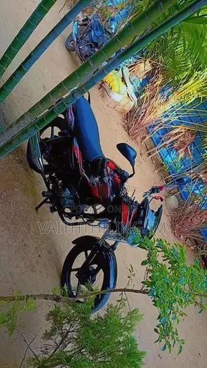 Bajaj Discover 2014