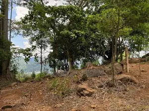 Valuable Land In Herrassagala