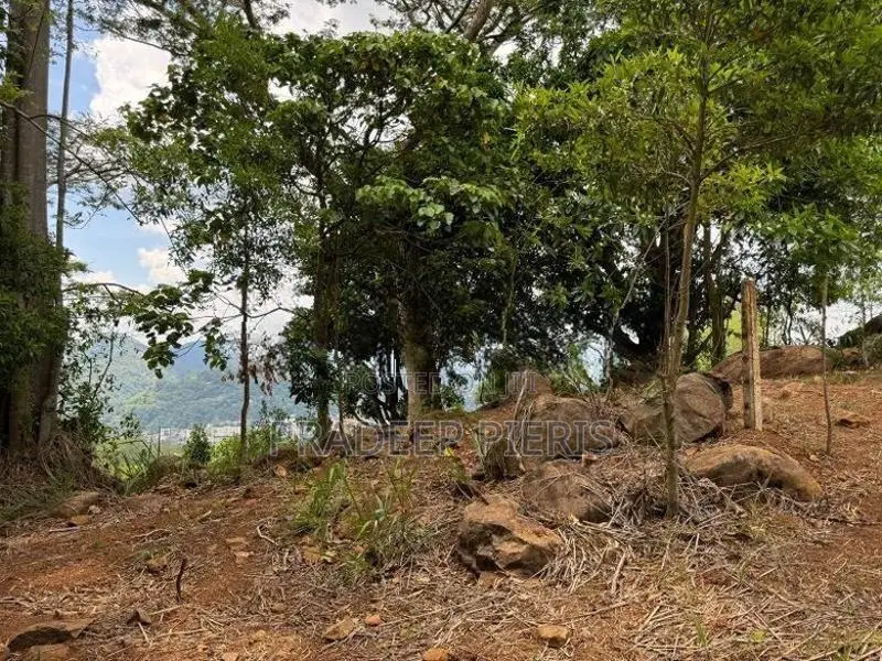 Valuable Land In Herrassagala