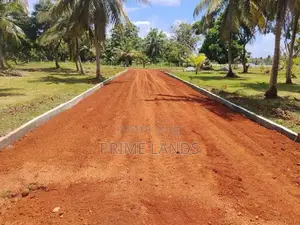 අනුරාධපුර නාච්චාදූව බිම් කොටසක්