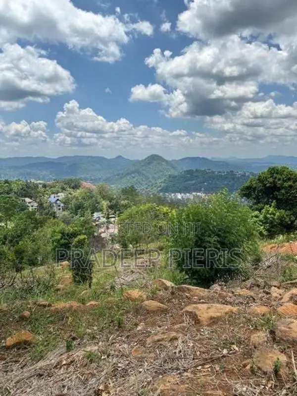 Valuable Land In Herrassagala
