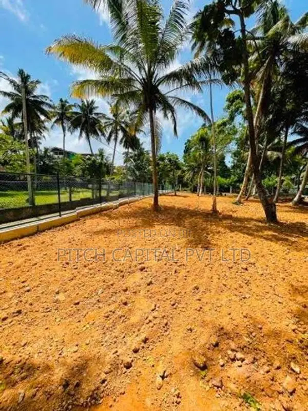 Valuable Land Plots for Sale in Midigama