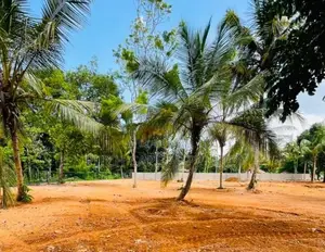 Luxury Coastal Project in Midigama