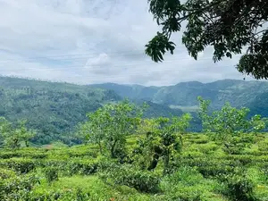 Land in Pudaluoya