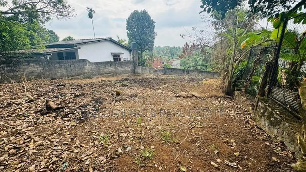 Kadawatha Ganemulla Road Valuable Residential Land For Sale