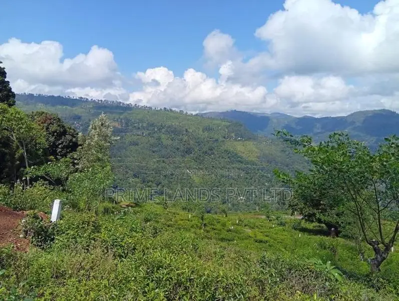 Land Sale in Pudaluoya