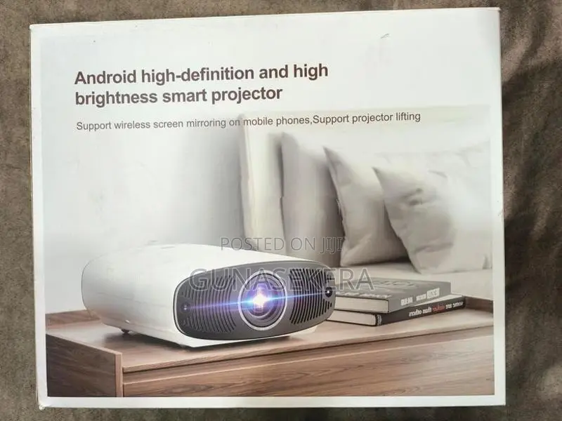 LED Projector