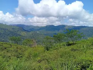 Land Sale in Pudaluoya