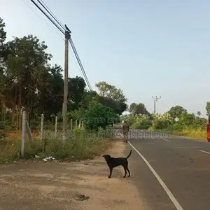 Land for Sale in Kankesanthurai