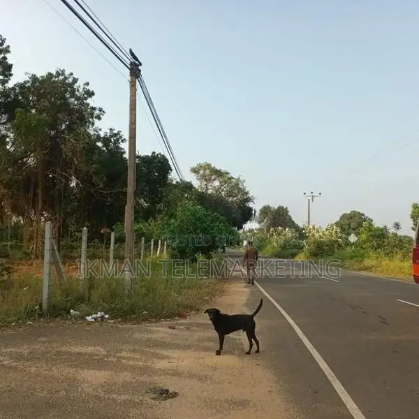 Land for Sale in Kankesanthurai