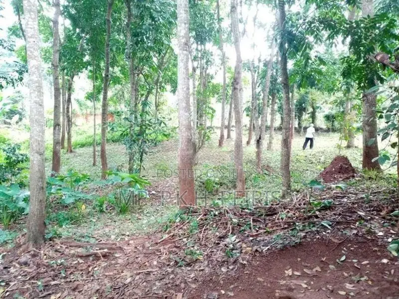 80 Perch Land for Sale in Matale