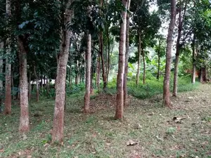 80 Perch Land for Sale in Matale