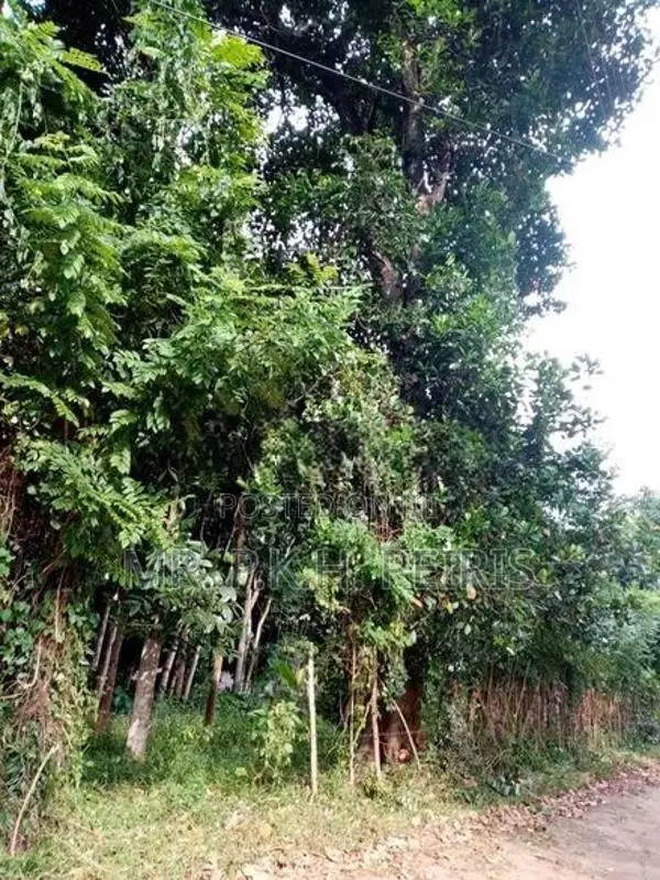 80 Perch Land for Sale in Matale