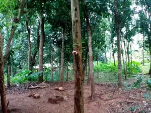 80 Perch Land for Sale in Matale