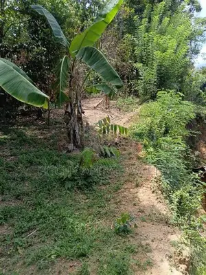 Valuable Land for Sale in Hiriketiya