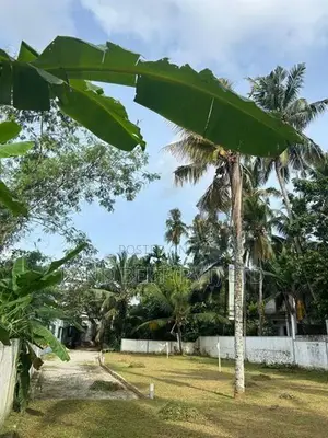 Kottawa Land for Sale