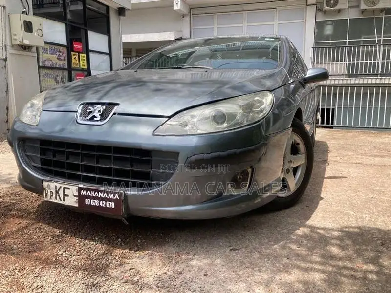 Peugeot 407 Gray 2006