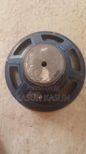 Coil Speaker