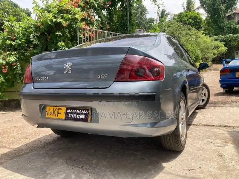 Peugeot 407 Gray 2006