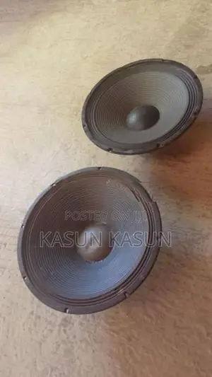 Coil Speaker