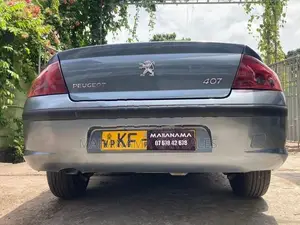 Peugeot 407 Gray 2006