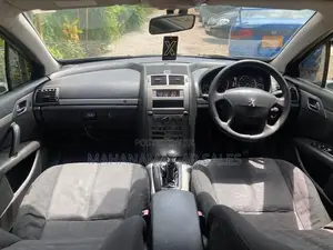 Peugeot 407 Gray 2006