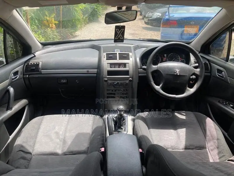 Peugeot 407 Gray 2006