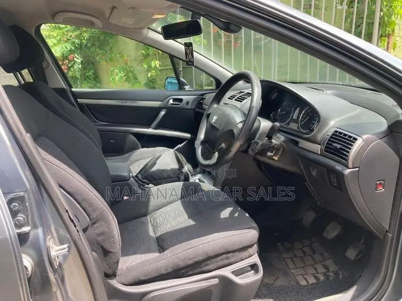 Peugeot 407 Gray 2006