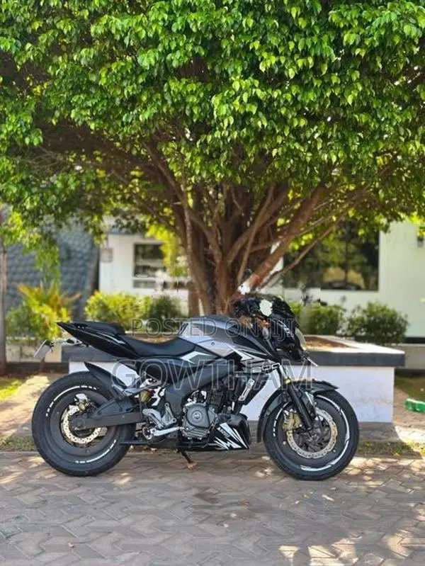 Bajaj Pulsar NS200 2019